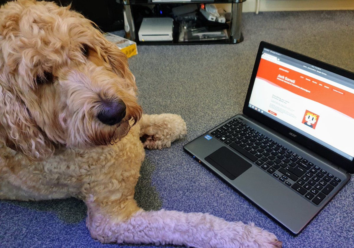 jack_sorrell's tweet photo. I have completely re-made my website https://t.co/QyECrxdJCE and George approves! https://t.co/T1DAtGSDsd