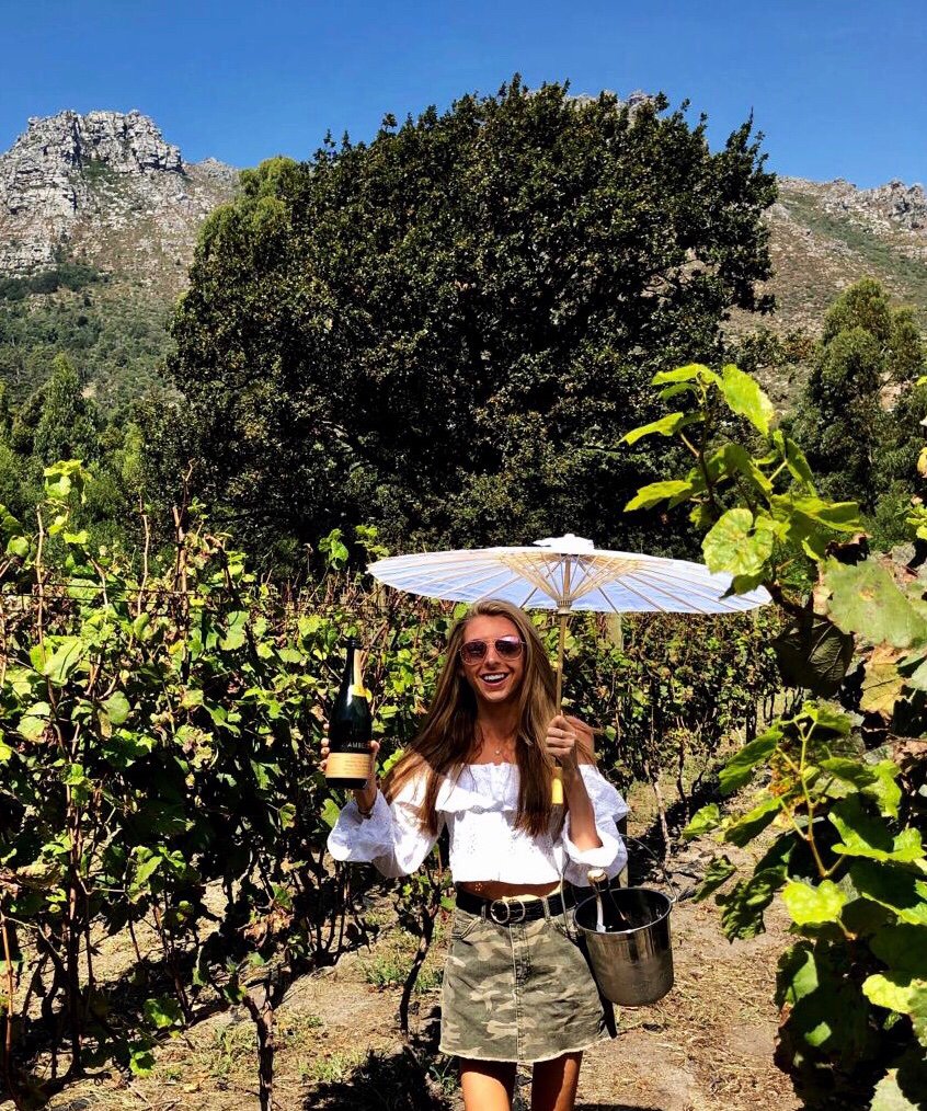 _AmyDoyle's tweet image. Time to celebrate my result in the IPA foundation exam! #distinction 
@IPALearning #IPAFC