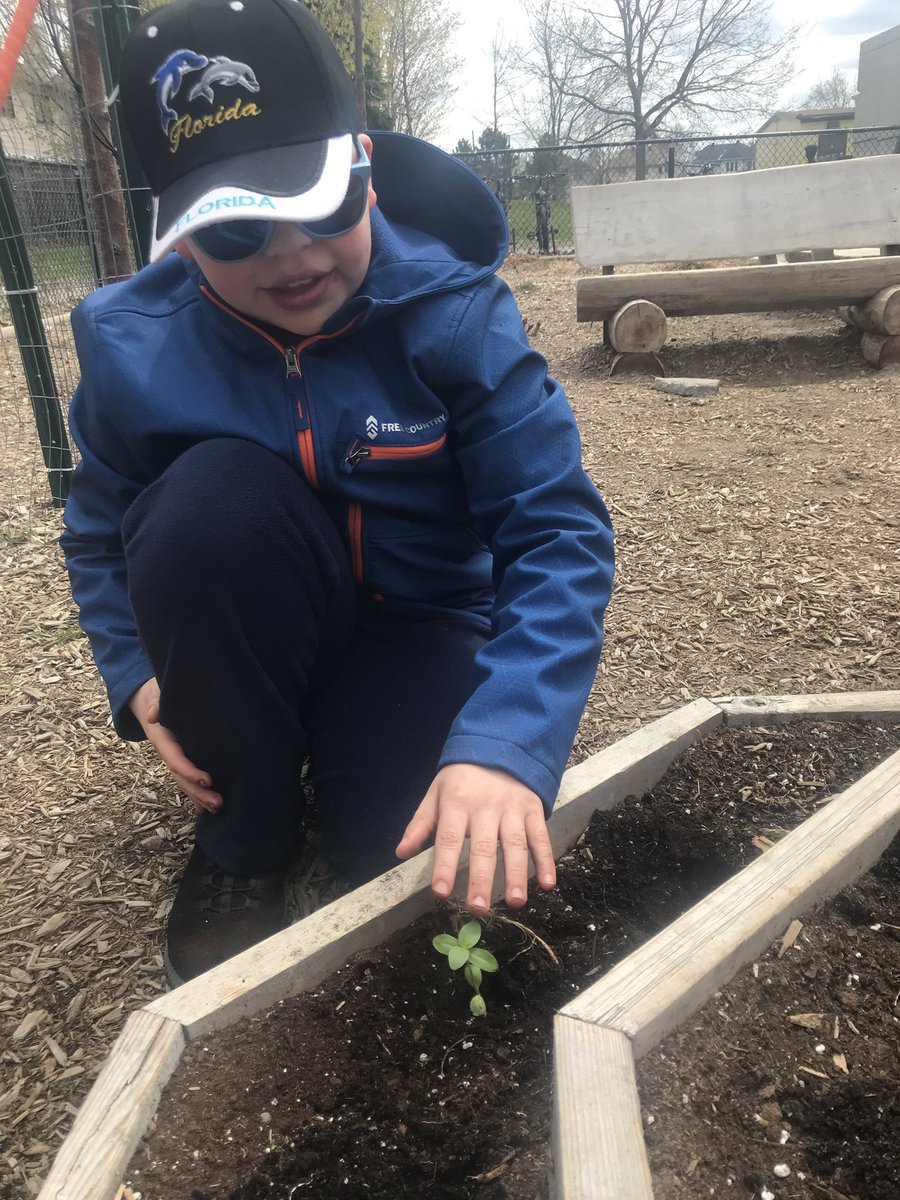 Mmeflo1's tweet photo. We started to plant 🌱 our plants in our yard! Thanks C for helping out #becommunity #gardening #enviroed https://t.co/hl72rYNUp6