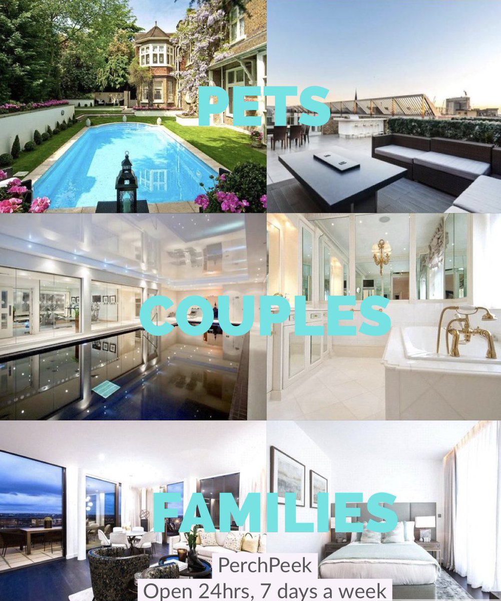 PerchPeek tweet media