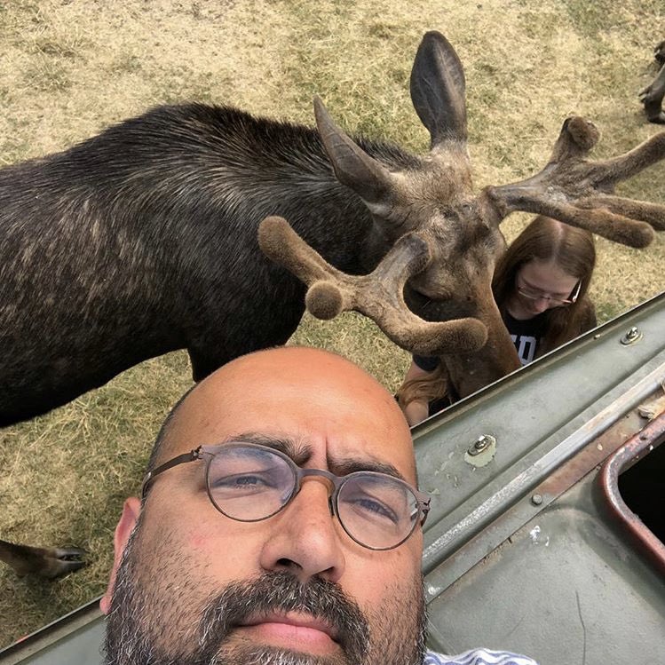 Omid Nouripour looking at Elch

Quelle: Instagram von Omid Nouripour