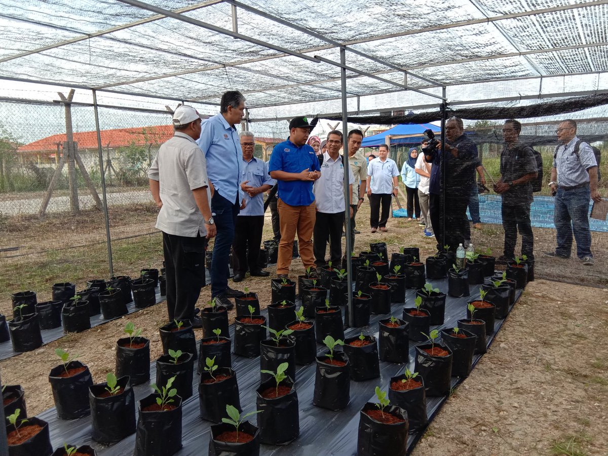 DoaLabuan's tweet photo. Lawatan YBhg. Dato' KSU MOA ke Projek Pertanian Belia Nelayan dibawah LKIM Labuan dgn kerjasama Jabatan Pertanian Labuan pada 11 Mei 2019.
@moaMalaysia 
@MyDSA_official 
@myDOA_HQ 
@JHarizan 
@DoaLabuan 
@MJurijh https://t.co/qBY7nP3f2U