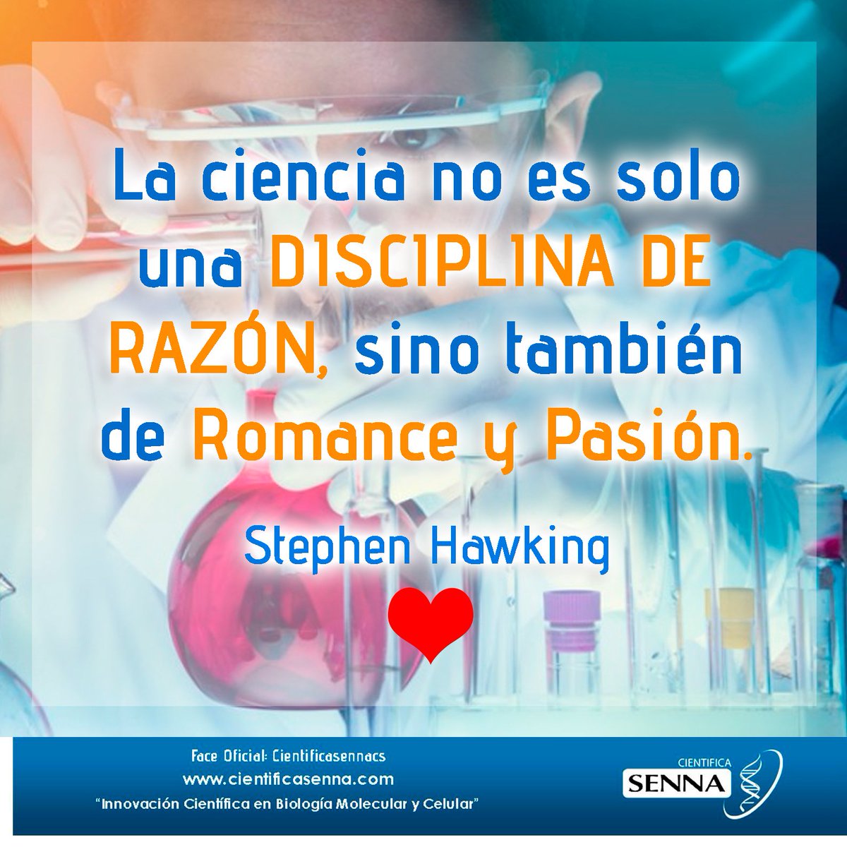 SennaCientifica's tweet photo. #Frasesenna👨‍🔬👩‍🔬
😍😍 https://t.co/KDltlndxY8