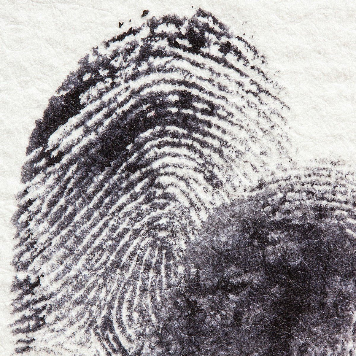 University of Sheffield Player tweet media