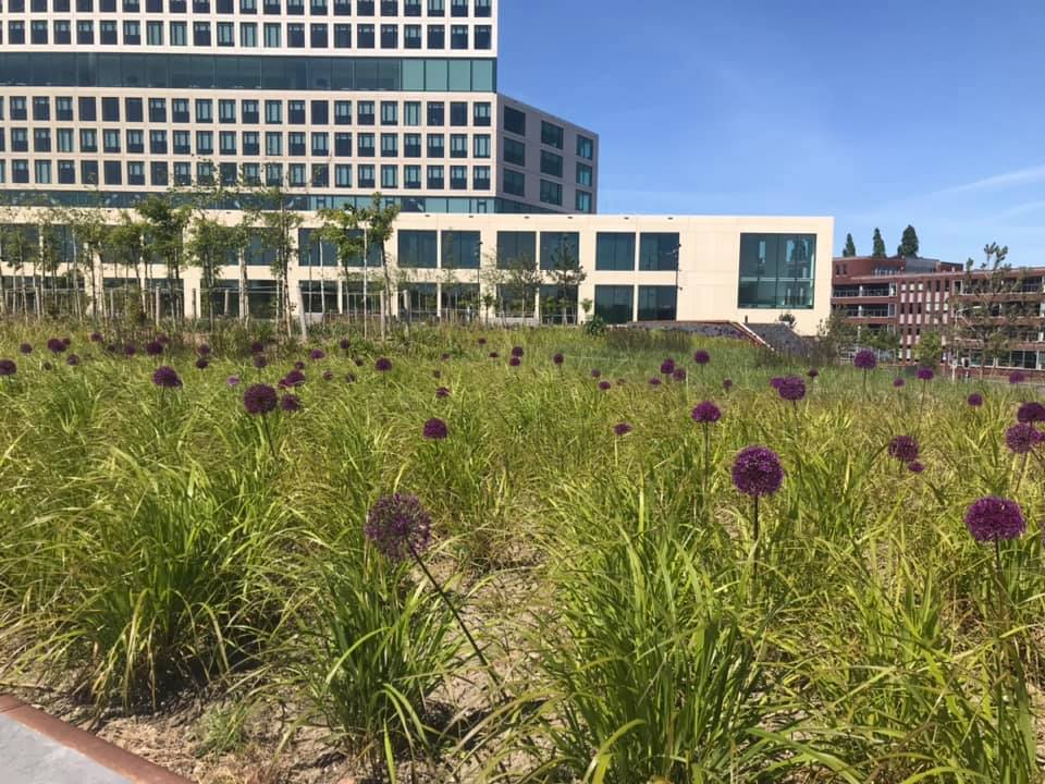 Aanstaande vrijdagmiddag om 14.00 uur is er een gratis rondleiding door het stationsgebied en het havenkwartier in Breda. Benieuwd naar de ontwikkelingen? Meld je aan bij info@bredapromotions.nl. #viabreda #gemeentebreda #bredapromotions