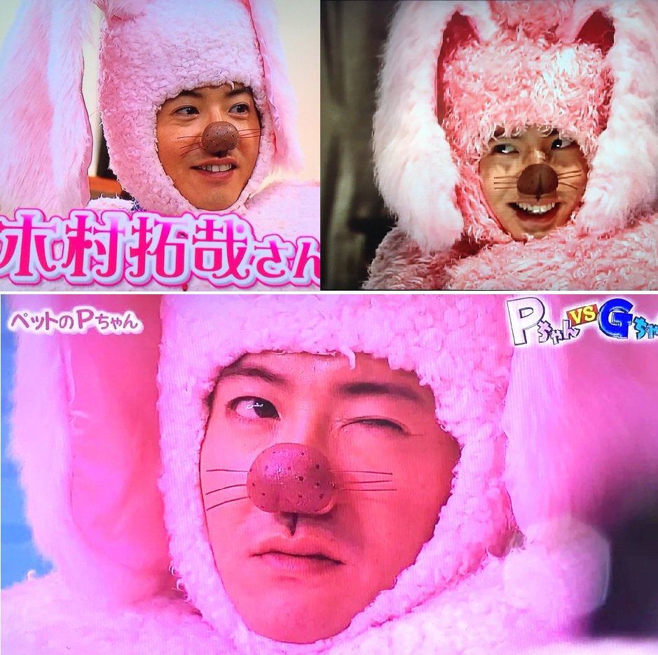 ペットのpちゃん