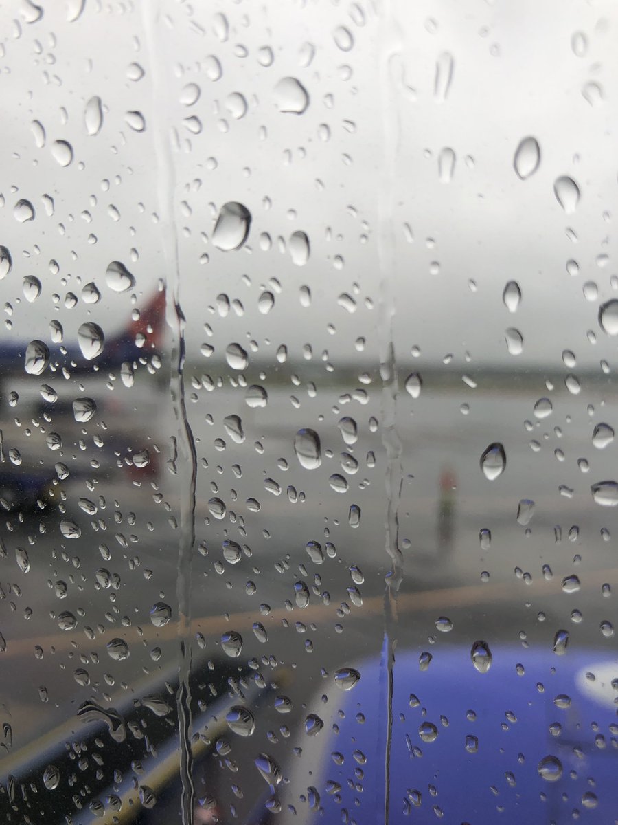 NatalieWoodsEE's tweet photo. See you later rainy DC. Looking forward to seeing so many educators come together to learn, network and capture many new ideas to bring home. @EdElements #PLSummit https://t.co/fluaZ6jmJ4