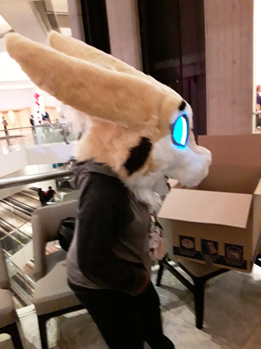 WanderersEmp's tweet photo. Hello everyone! We are now heading back from another FWA! It was definitely an eventful weekend. We hand delivered Slay to Simone herself! We are proud to say that she loves her new fusrsuit head.

(It even has a pickable nose!!)

#FWA2019 #FWA #wickerbeast #furry https://t.co/fXHrEMRP0b