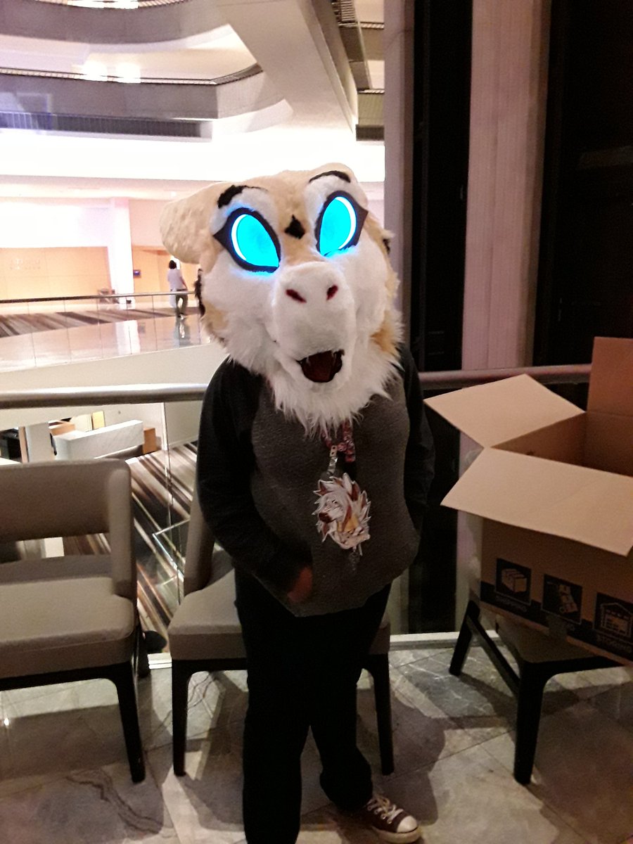WanderersEmp's tweet photo. Hello everyone! We are now heading back from another FWA! It was definitely an eventful weekend. We hand delivered Slay to Simone herself! We are proud to say that she loves her new fusrsuit head.

(It even has a pickable nose!!)

#FWA2019 #FWA #wickerbeast #furry https://t.co/fXHrEMRP0b
