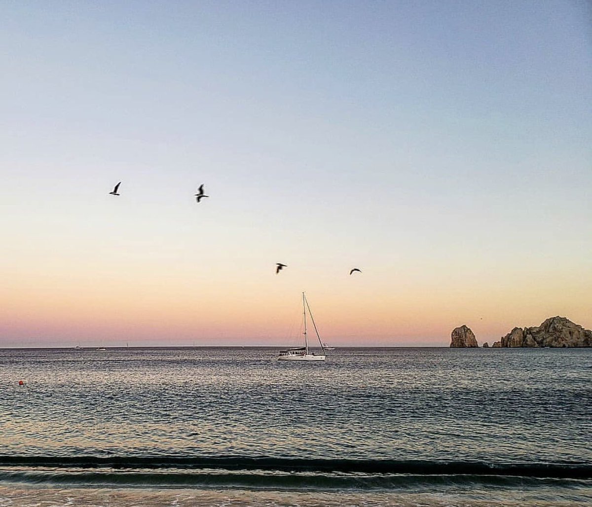 MedanoPlaya's tweet photo. 8.- como llegar Por tierra?: Tome la carretera Transpeninsular Número 1, que va desde Tijuana hasta Los Cabos.
#LaPlaya #LosCabos #Medano #BCS https://t.co/Kn6WzyCQmO