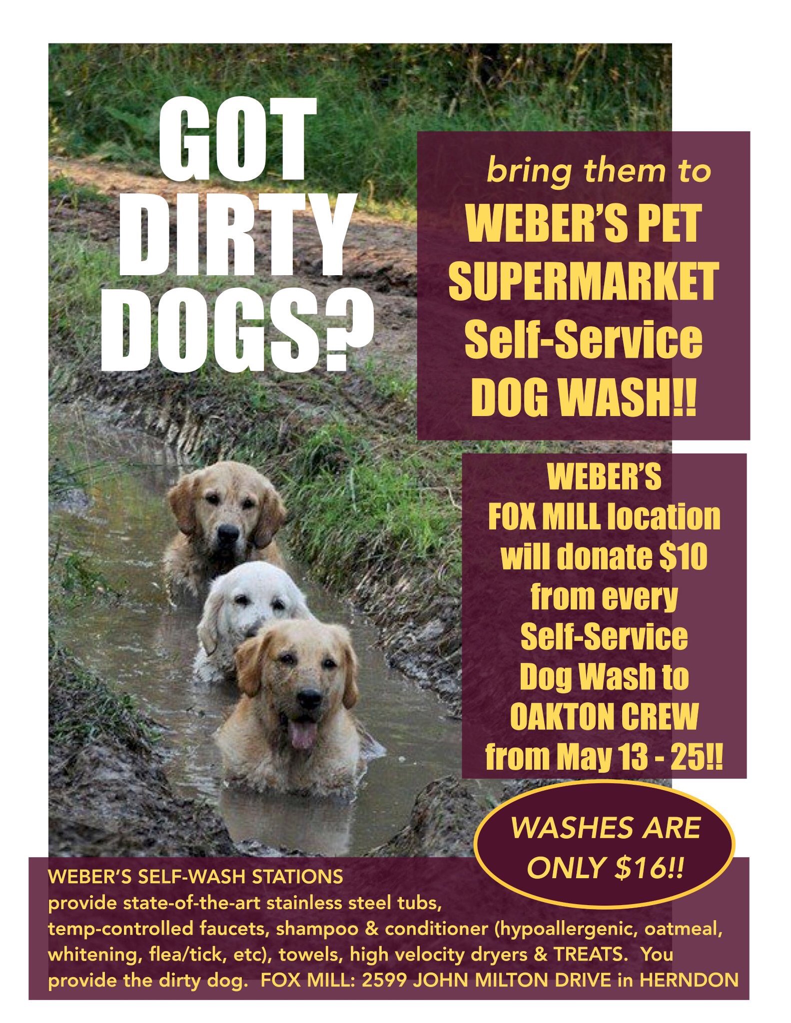 Pet supermarket dog shop shampoo
