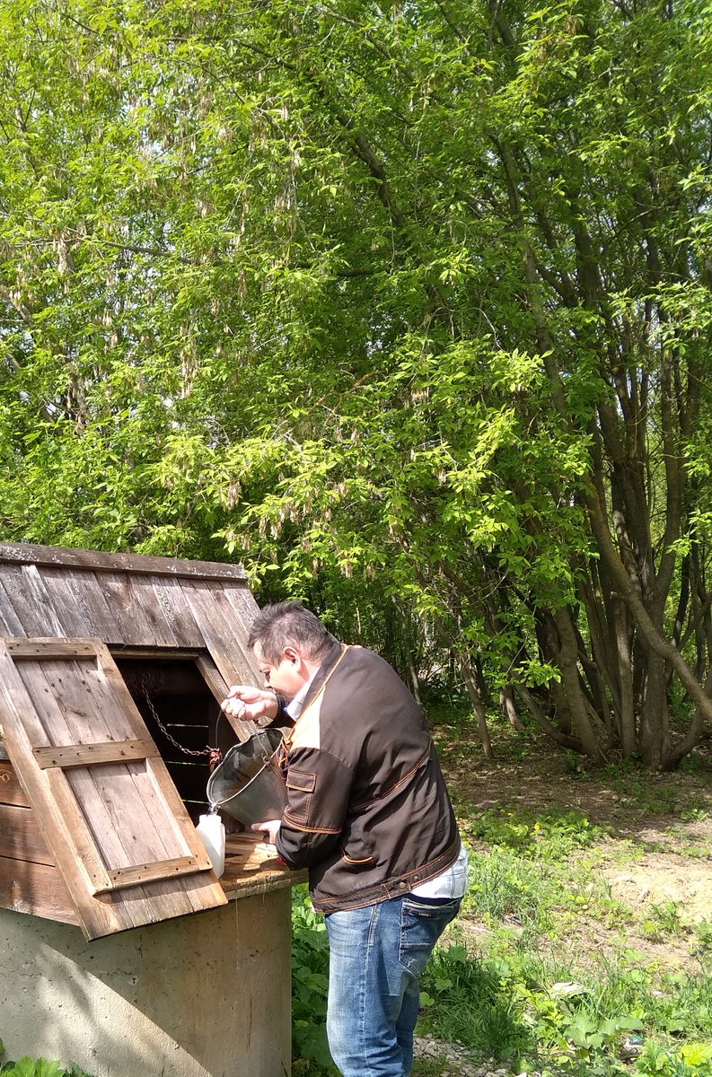 забор воды из родника