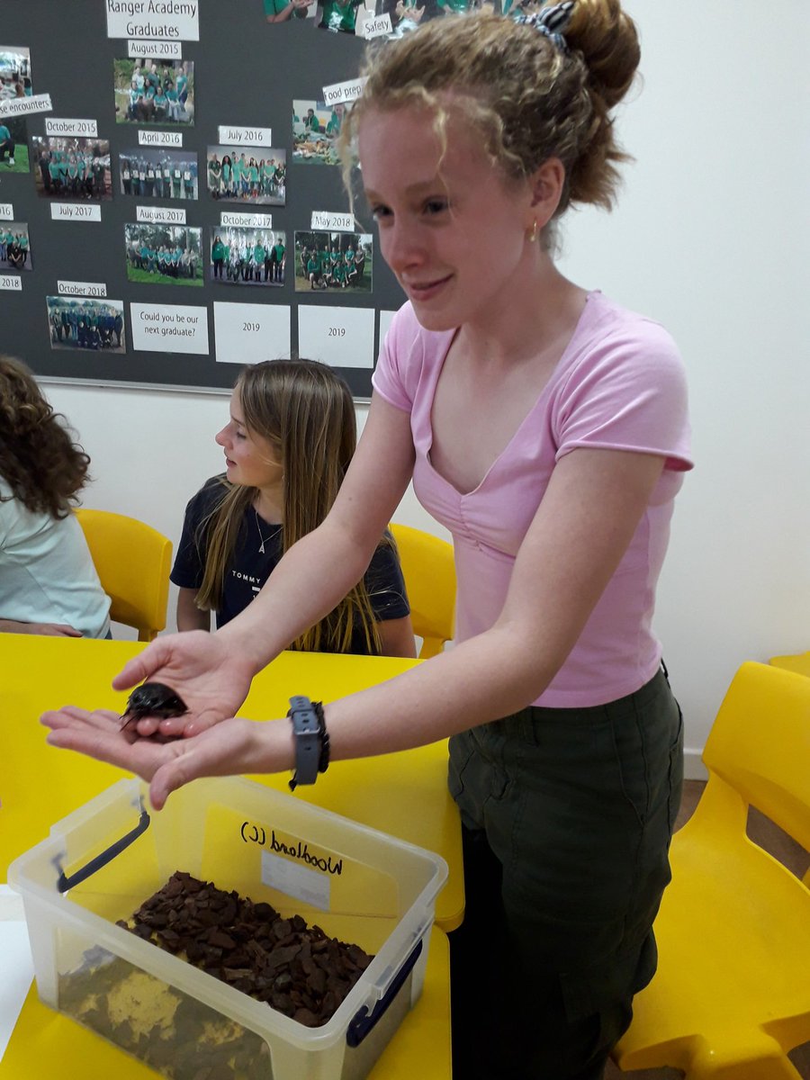 QM_Science's tweet photo. Meeting Colin the hissing cockroach! https://t.co/z7IAc87xsB