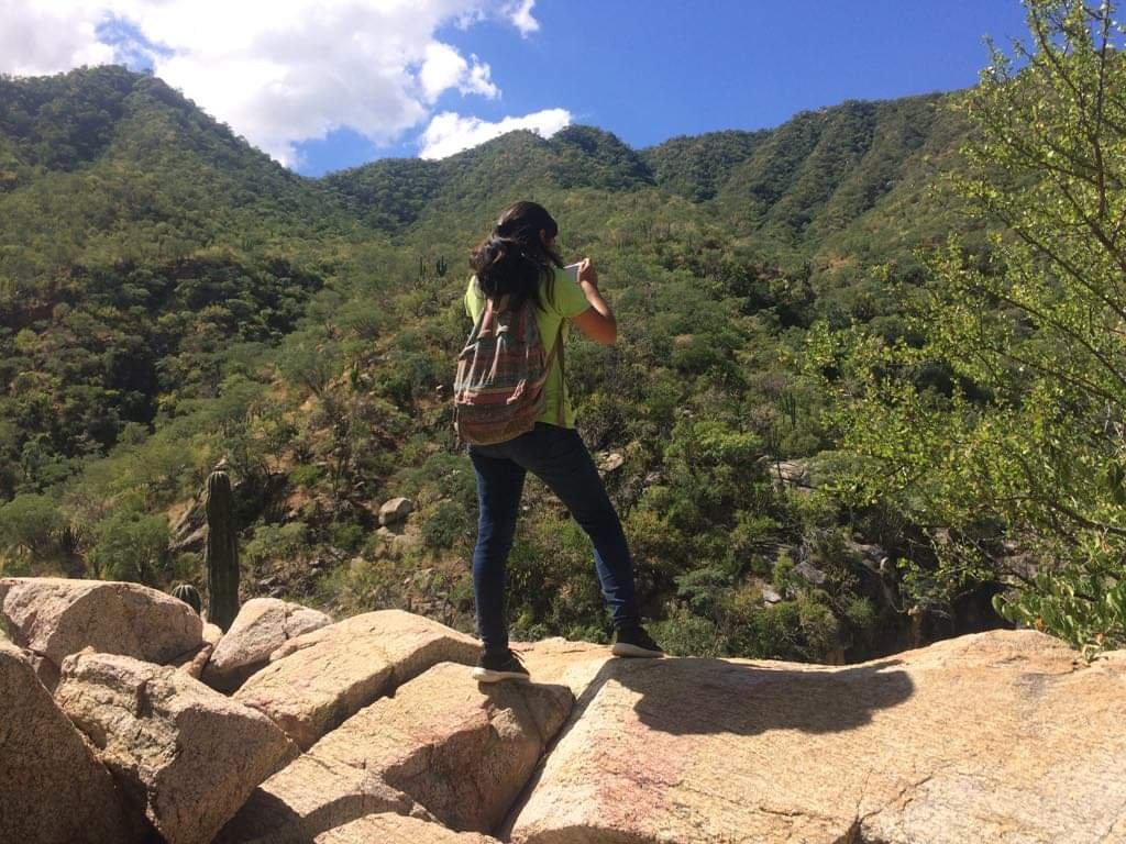 Soldemayo6's tweet photo. Descubre las maravillas de sol de mayo🌵🍃 https://t.co/tCnlcmiZhn