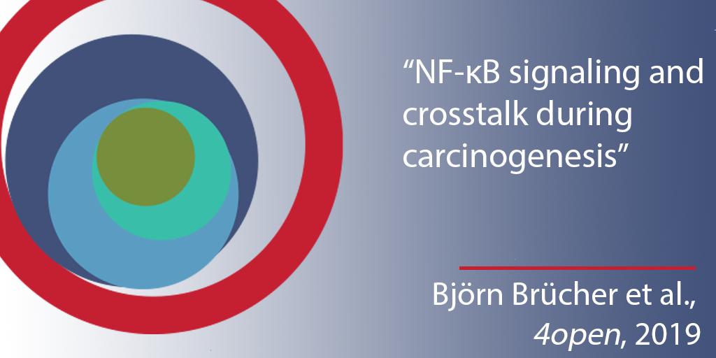 4openjournal's tweet photo. Newly published in 4open, “NF-κB signaling and crosstalk during carcinogenesis” co-authored by @BjoernBruecher ,Florian Lang the 4th most cited author in #physiology in Europe and Ijaz Jamall, part of the #speicalissue guest edited by @obulr @DKFZ
https://t.co/J5Tdly6rVw https://t.co/pze9jwY0AR