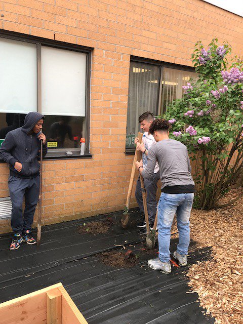 NRTechEd's tweet image. @NRTechEd construction/manufacturing students, digging post holes and laying out fence lines for @NRRedRaider new garden