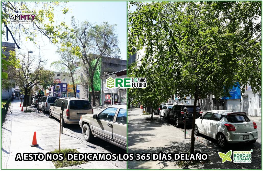 reforestacion's tweet image. Nuestra misión es que el Área Metropolitana de Monterrey, tenga los árboles suficientes en cantidad, el tamaño y la calidad para mejorar la vida de tod@s quienes la habitamos.
A eso nos dedicamos cada día del año.
Gracias por tu apoyo y colaboración.

#urbantree