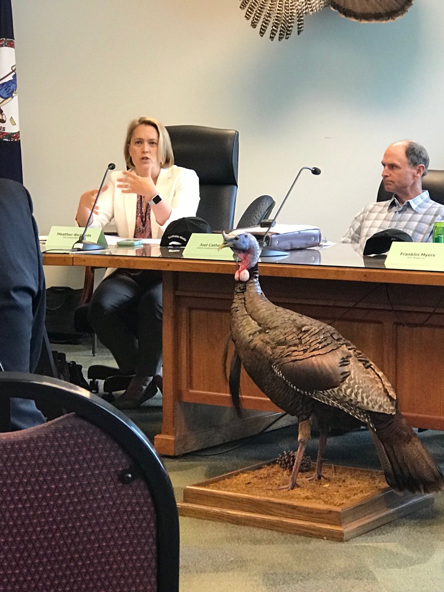 Listening to Heather Richards with Va Conservation Fund and new member of ⁦<a href="/ForestryVA/">ForestryVA</a>⁩ Board about their work on working Forest Fund so make sure keep working forest remain working.