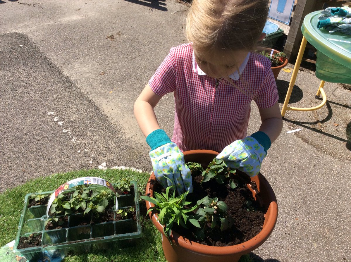 Reception_PPS's tweet photo. What a beautiful afternoon 🌞Lots of plants potted and watered. https://t.co/COK21acubJ