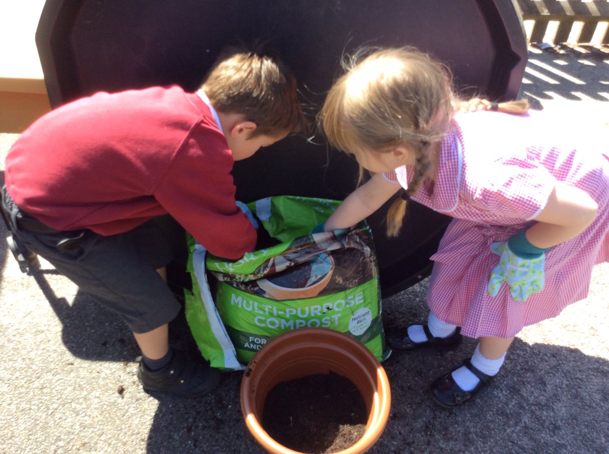 Reception_PPS's tweet photo. What a beautiful afternoon 🌞Lots of plants potted and watered. https://t.co/COK21acubJ