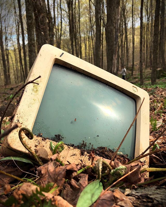 lorinelsonart's tweet image. Foraging find. #wildapple (found this in our woods a couple years ago and somehow it was moved to another location this spring... #theghostofstevejobs)
.
.
.
#mac #macintosh #roguecomputer #haunted #obsoletetech #computer bit.ly/2HeGqNg