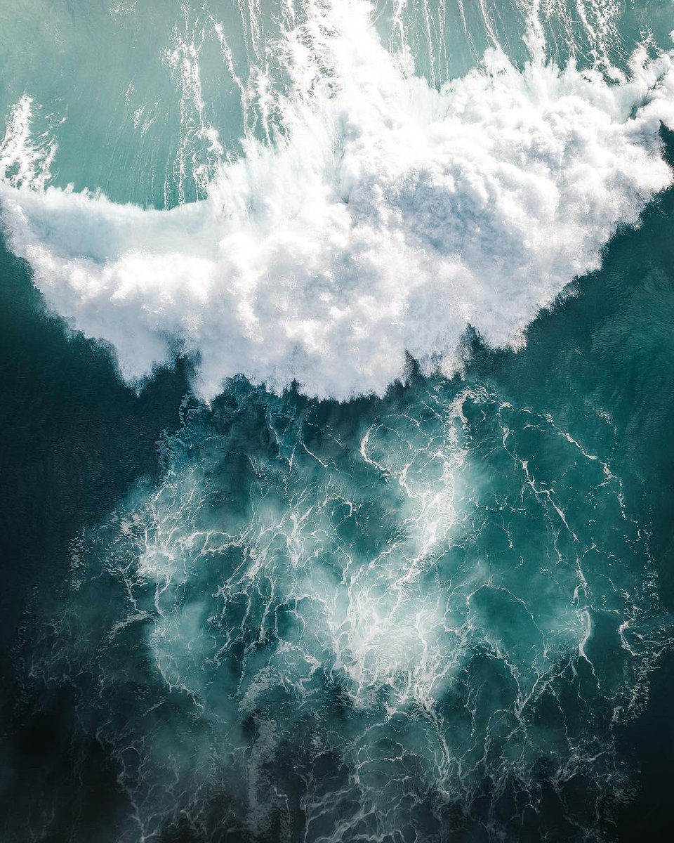 goodcatchfoods's tweet photo. 🌊 The ocean is warming up. 🌊⁣

The ocean absorbs most of the excess heat from greenhouse gas emissions, leading to rising ocean temperatures.⁣

Increasing temperatures affect species and ecosystems, cause coral bleaching and the loss of breeding grounds for marine life. https://t.co/aXDrRSiuk2