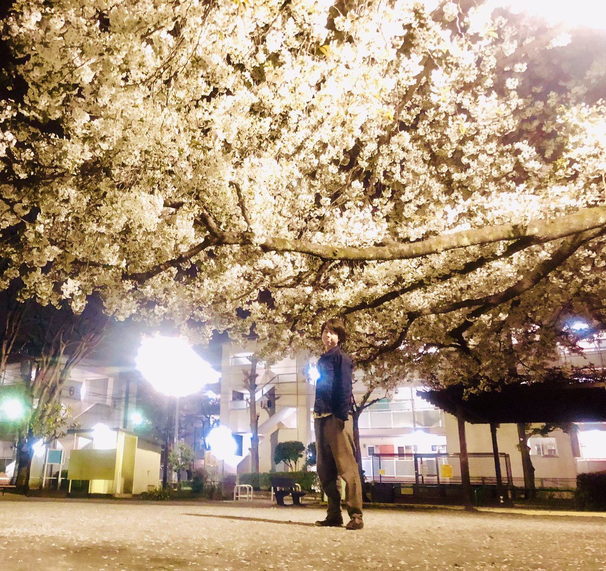 皆さんからお花をいただくようになるまで、花をじっくりと見る習慣は全くありませんでした。
今では、頂いたお花を持ち帰って飾ったり
外に咲いてるものにも良く気がつくようになって
花の写真を撮るのが好きになりました。
僕の人生を豊かにしてくれて、ありがとうございます💐
おやすみなさい😴