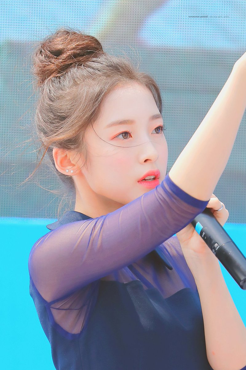 arin pics tweet media