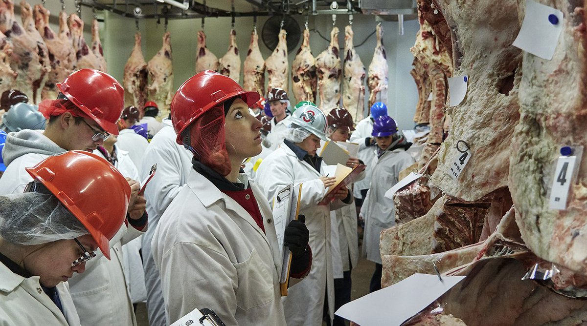 TTUResearch's tweet photo. Learn more about meat judging &amp; how Texas Tech University's meat judging team is making impacts across the country! #RaiderImpacts
https://t.co/E5gnu5Ueri https://t.co/ViKpy2DGE2