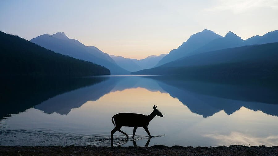 Don’t be scared to walk alone.
Don’t be scared to like it.

John Mayer
Pic Dustin LeFevre