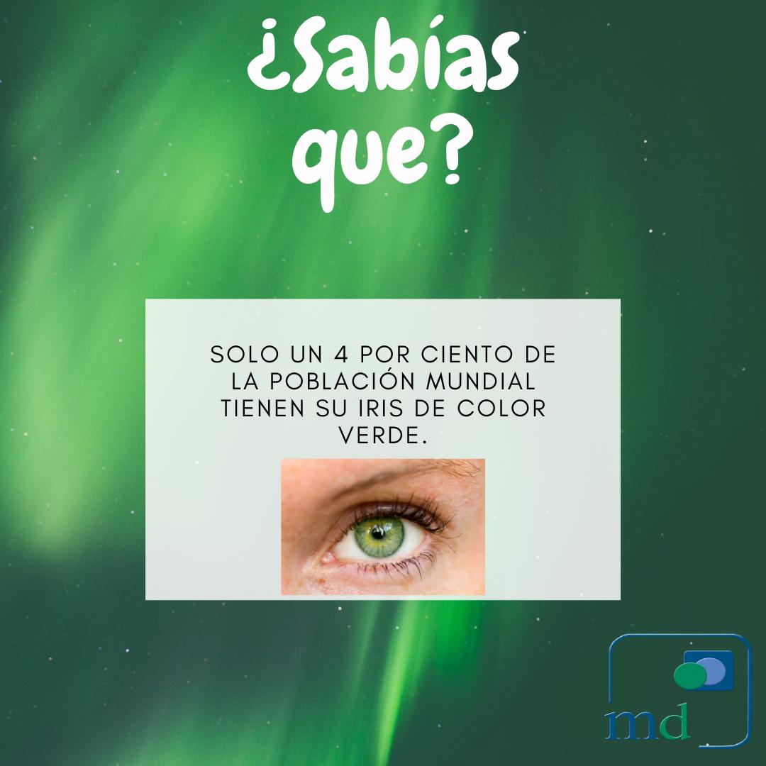MedicalDimegar's tweet photo. ¿Sabías que? 
#curiosidades #sabiasque #o #curioso #datos #datoscuriosos  #conocimiento  #curiosidad #folloback #fatos #dato #datocurioso #engra  #lectura #tipicodejovem  #sab #vida #love #like #interesante #memes #cerebro #informacion #aprender #Felizlunes #salud https://t.co/VNFWtRMghk