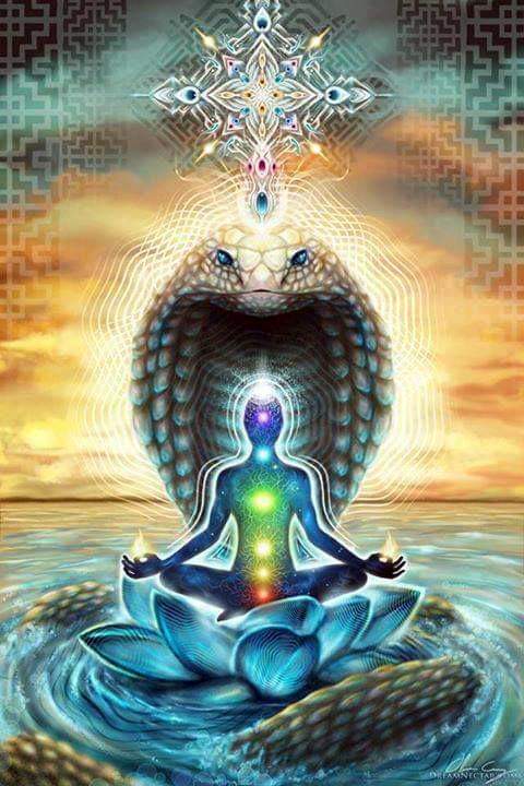 Brian Lottmans Tweet Kundalini Shakti Is The Concealing - 