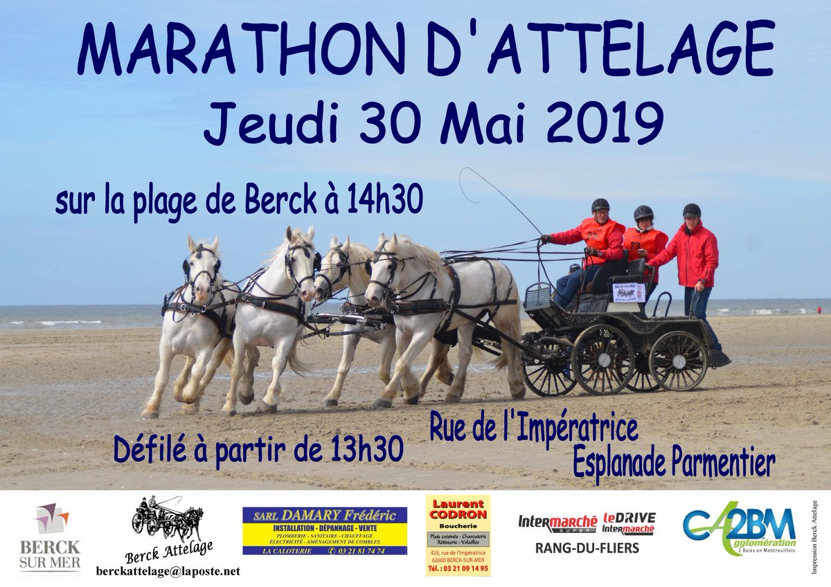 BercksurMer's tweet image. À la fin du mois, les attelages sont de retour sur la plage
#hautsdefrance #chevaux #berck