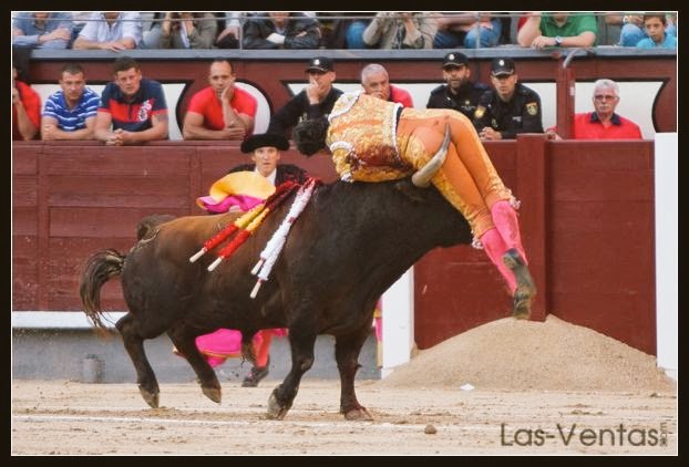 Tauromaquico's tweet photo. Es ésta la imagen de un torero valiente, que soñó ser gigante un día. #EternoFandiño https://t.co/ZsrJ4HNrMD