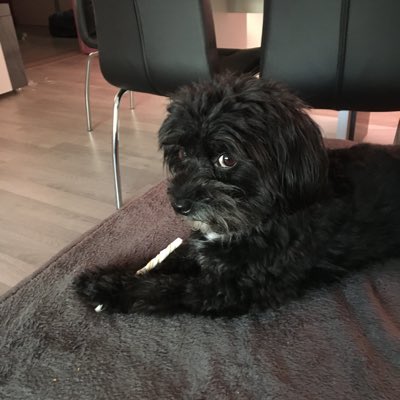 #NouvellePhotoDeProfil