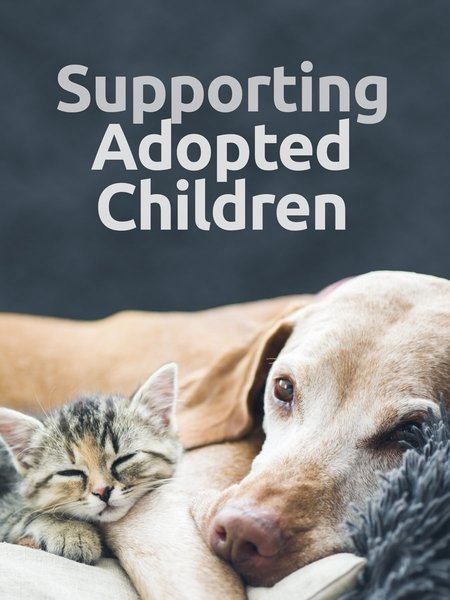 Children who have previously been in care often have complex social, emotional &amp; educational needs &amp; require support from their schools. Our course Supporting Adopted Children helps school staff to understand their responsibilities and support #PLAC. 

#FCF19 #fostercarefortnight