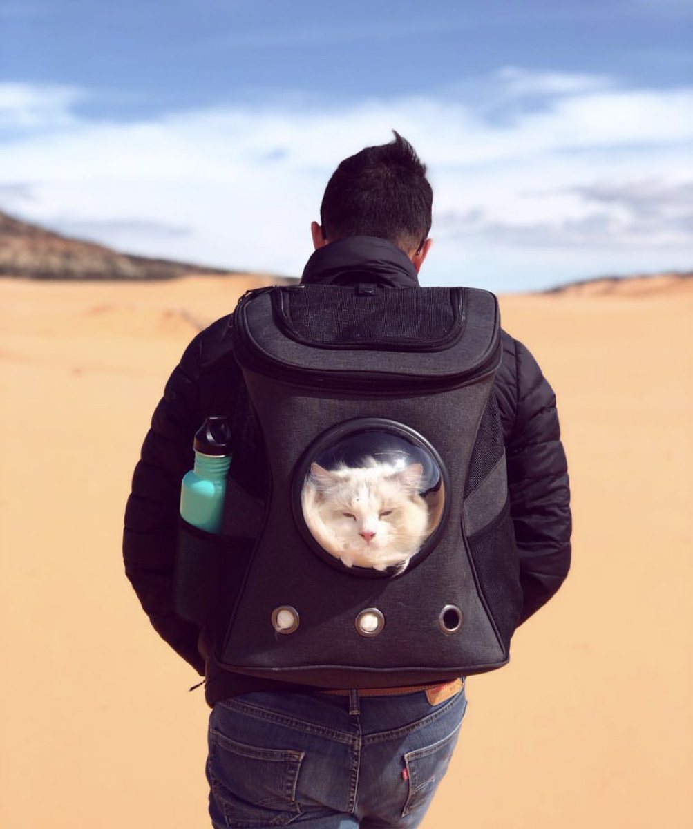 yourcatbackpack