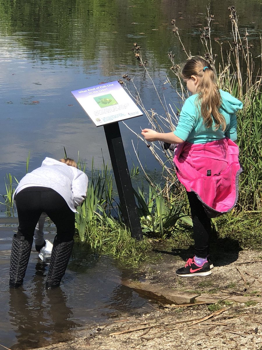mrsbrennanOR's tweet photo. Studying what lives in Lake Katherine on this sunny day. #sciencerocks #ORMustangs https://t.co/mGbvrIHV3y