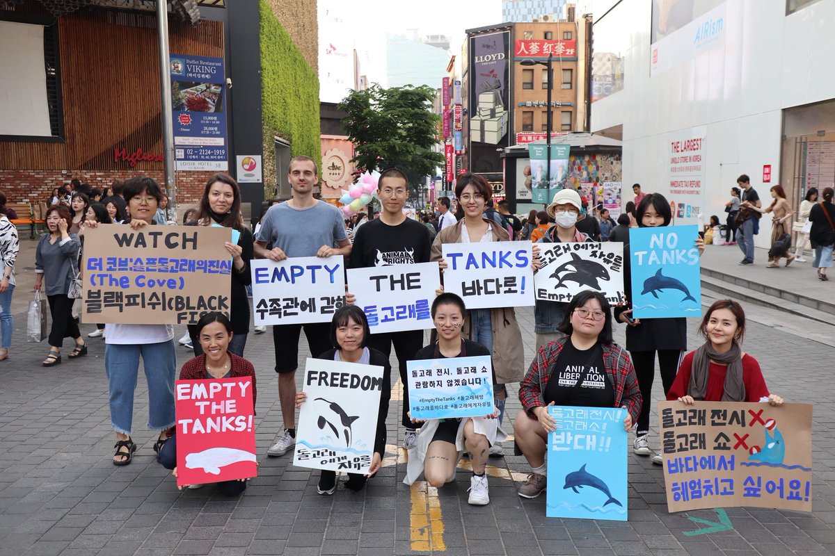 #emptythetanks Seoul, South Korea