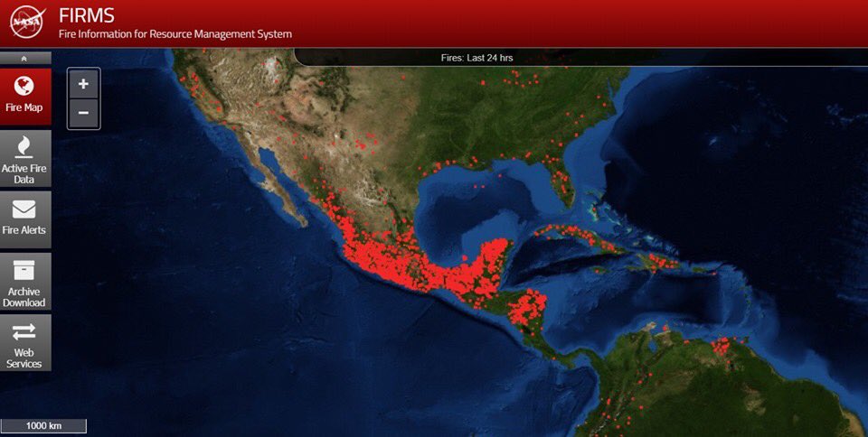 LiderazgoJoven's tweet photo. ¿Les huele a quemado? 🔥
Así los los incendios vistos desde imágenes de satélite de la @NASA:

https://t.co/Obkh7pZIwN 

Debemos reforestar urgentemente 👨🏻‍🚒👩🏻‍🚒🌲🌳👷🏻‍♂️👷🏻‍♀️ https://t.co/hAS1mUHx1r