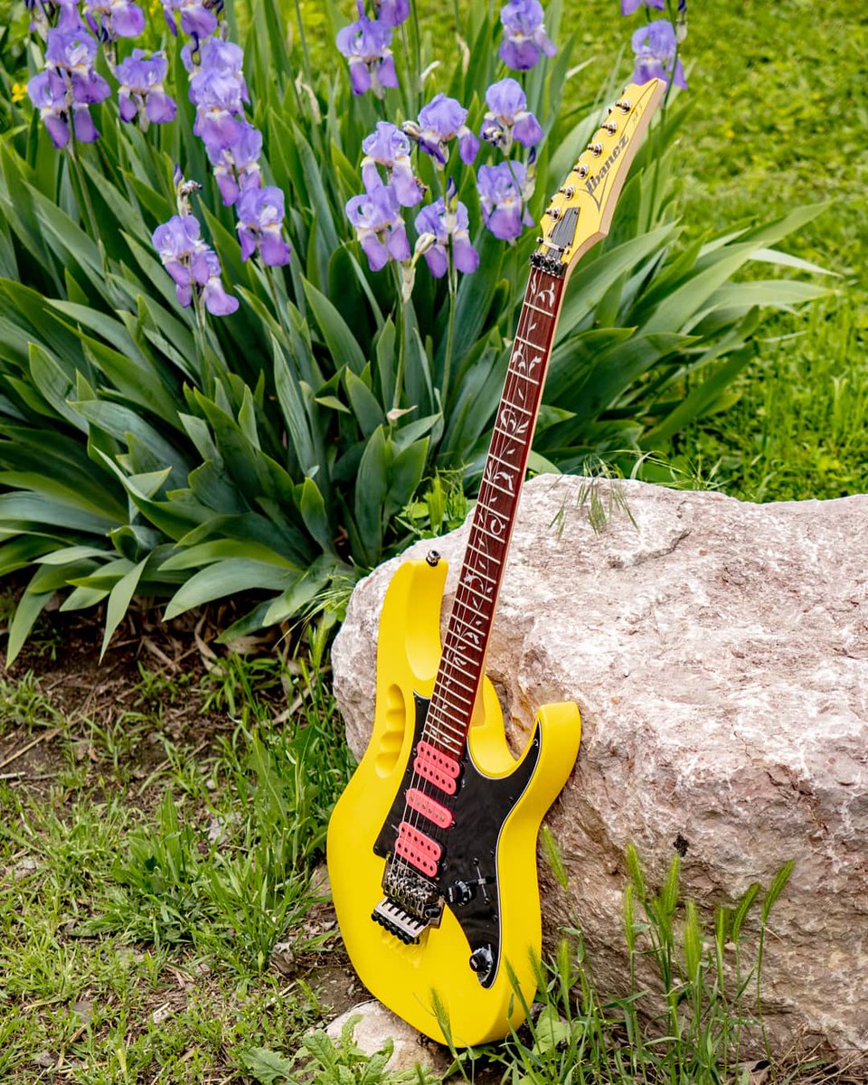 klangfarbewien's tweet photo. A few flowers can't be wrong and make you happy! How do you like it?
💐🎸🎶
#ibanezguitars #ibanezjem #stevevai #guitarpost #guitarshop #klangfarbe #gasometer #guitarlove #guitarlife #yellowguitar #gitarre #guitarplayersunited #ulympuscameras #monkeygrip #officialibanezguitars https://t.co/2K2HQBpMMj