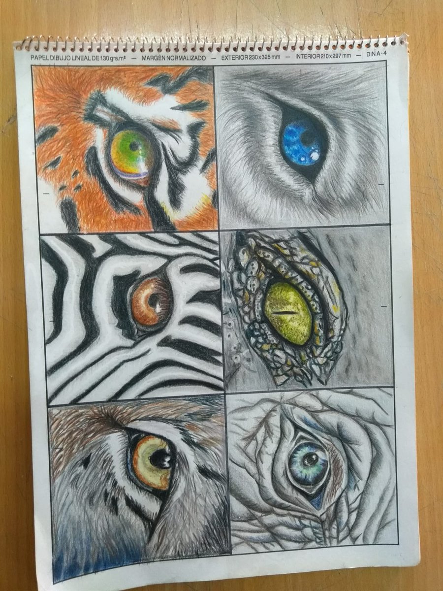 IESFQ's tweet photo. Buen trabajo con mucho talento de nuestro alumno Antonio Ocaña de 1° D
#escuelapublica
#talentoycreatividad https://t.co/U8b1fdy7O4