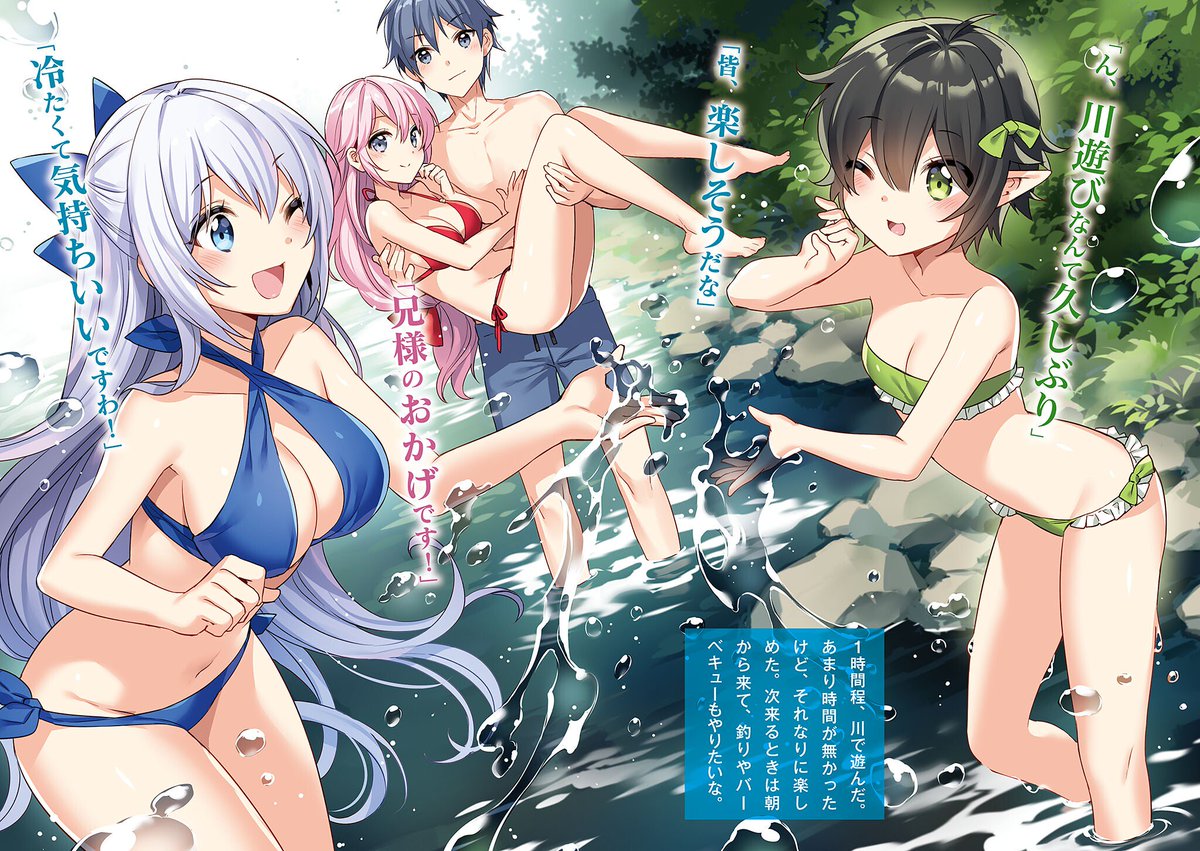 Megami ni Damasareta Ore no Isekai Harem Seikatsu (Light Novel) Manga