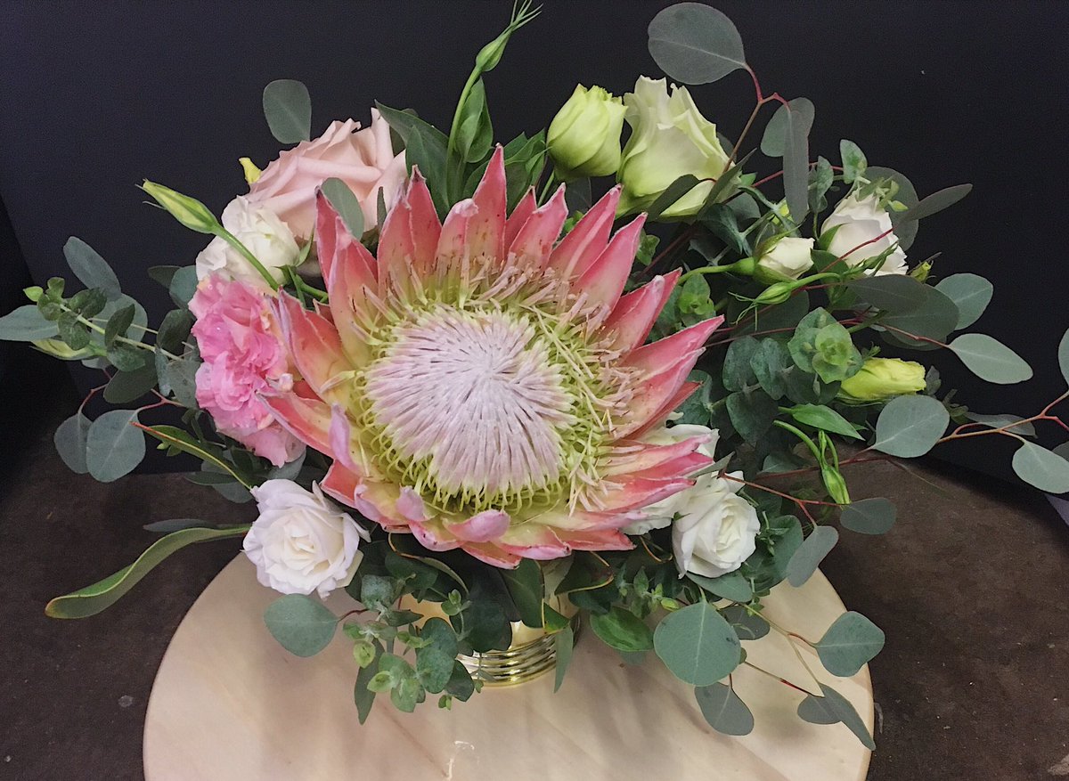 flowerboysindy's tweet photo. And now you may bow to the queen. JK, itโs actually King Protea, but we just canโt help ourselves. ๐ If you want a lovely like this, let us know a few weeks in advance!
.
.
#indyflowershop #indyflorist #floraldesign #loveindy #indyhub #indianapolisflorist #indyfloraldesign https://t.co/szB9EXixY1