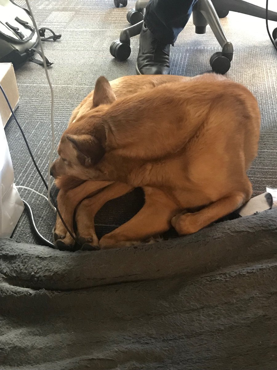 Crystal Mitchell tweet media