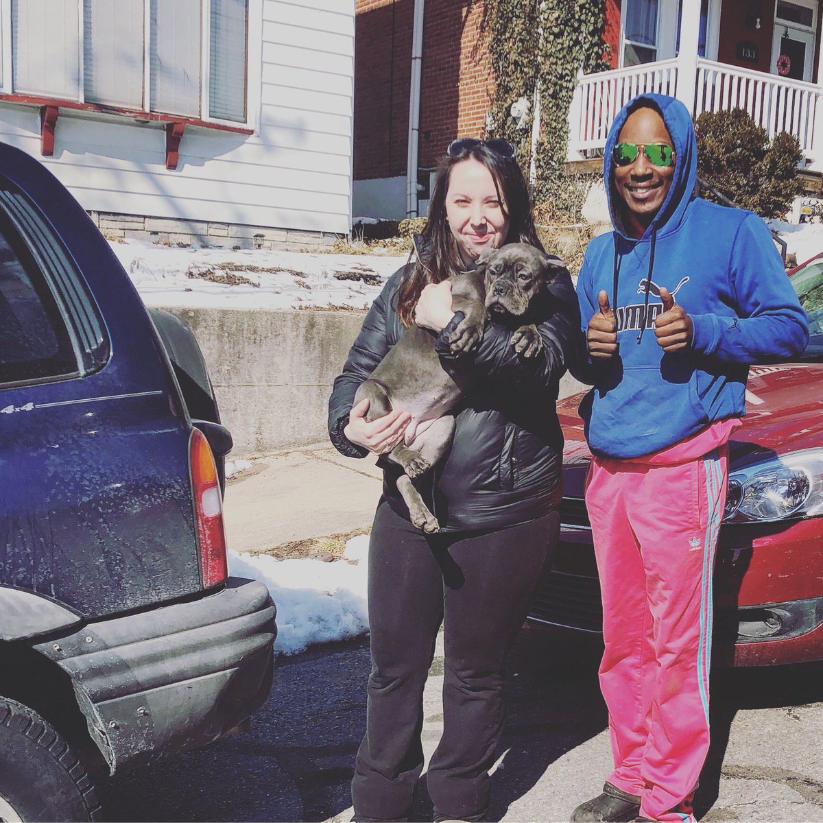 pawsandearspet's tweet photo. Providing the best door to door pet transport service in the country! 
🐾 #pawsandears  #pettransport #thepettransporter #groundtransport #petdelivery #doortodoor #pettransportation #pettransporters #pettransportservice #pettransporter #petpictureoftheday #petpicture https://t.co/d1hEB4kvb2
