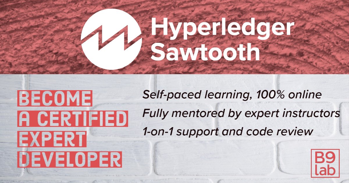 b9lab's tweet image. Excited to announce the certified @b9lab #HyperledgerSawtooth online course is now available! It&apos;s fully mentored and 100% self-paced! Check it out at: bit.ly/2JjSu2i #HyperledgerEd @HL_Sawtooth @Hyperledger @linuxfoundation @intel