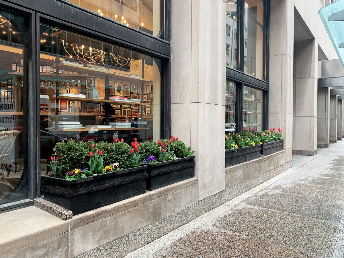Beaverlands's tweet photo. Tulip Season 🌷☔️ #landscapeontario #commercecourt #ontariolandscape #landscapephotography #landscapelovers #tulipseason #tulipsphotography #spring2019 #canadianlandscaping #downtowntoronto #MondayMorning #MondayMotivation #springflowers #tulips #springflowers https://t.co/f8IkqQOqT0