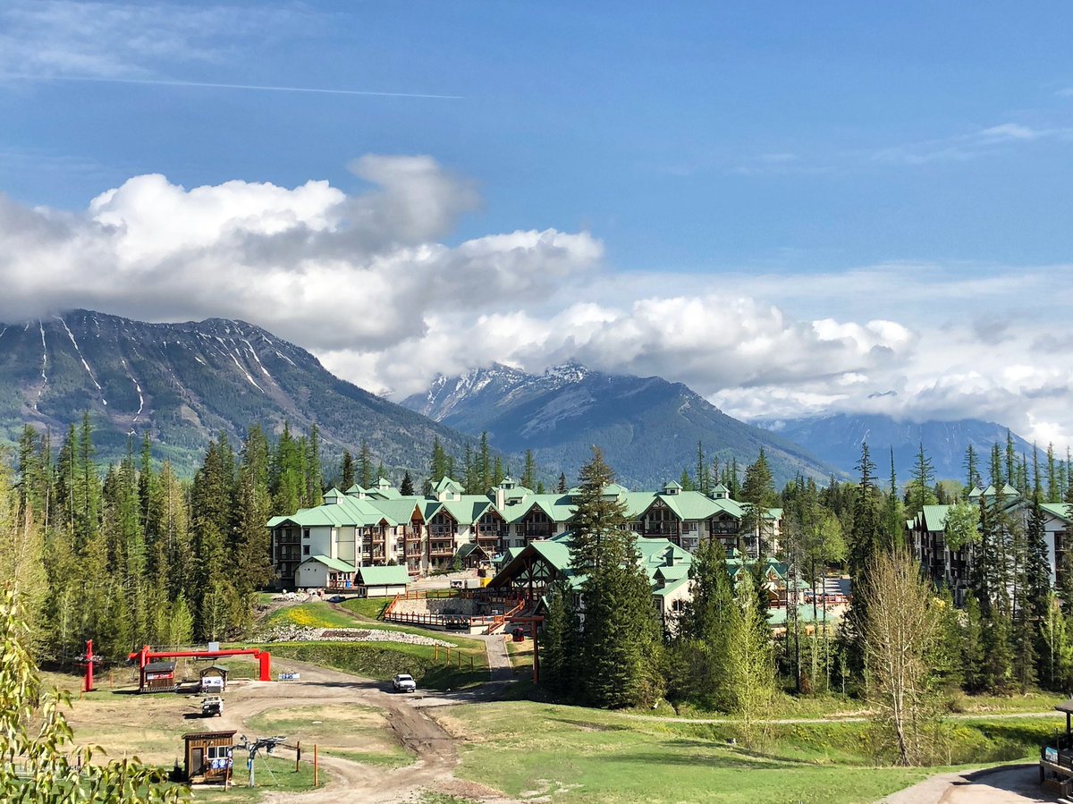 LizardCreek's tweet photo. The green has arrived back in the Valley 🌲🌱☀️
#lovefernie #springinthevalley #lizardcreeklodge https://t.co/QpqzdX097b