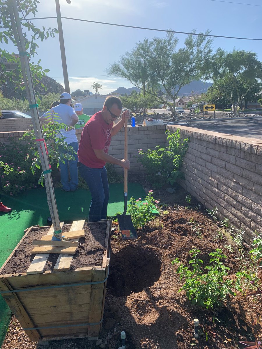 MyVolunteerPHX's tweet photo. 8 Red Push Pistache trees were planted this weekend in the Sunnyslope Community with help from #CitizenForesters and @AmeriCorpsVISTA members! 
#UrbanForest #PlantASolution #Community #Volunteer 
@CitiesOfService @PhoenixIDA @PHXNeighborhood @loveyrblockPHX @ArizonaCNCS https://t.co/Y6pptjAiXn